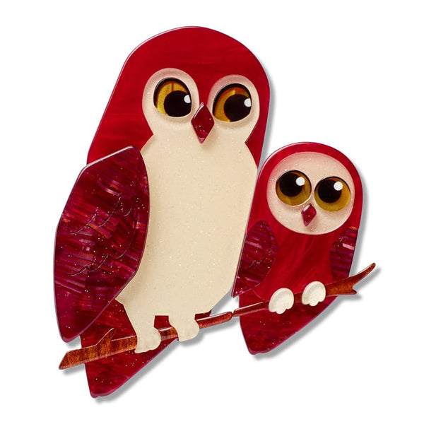 Eyes on You Owl Brooch Pair - Erstwilder By Your Side Brooch (2026)
