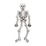 Erstwilder - Funny Bones Brooch - Best Of Halloween (2024) - Gift With Purchase