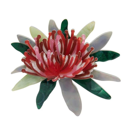 Erstwilder - Waratah Warmth Brooch - Jocelyn Proust (2021)